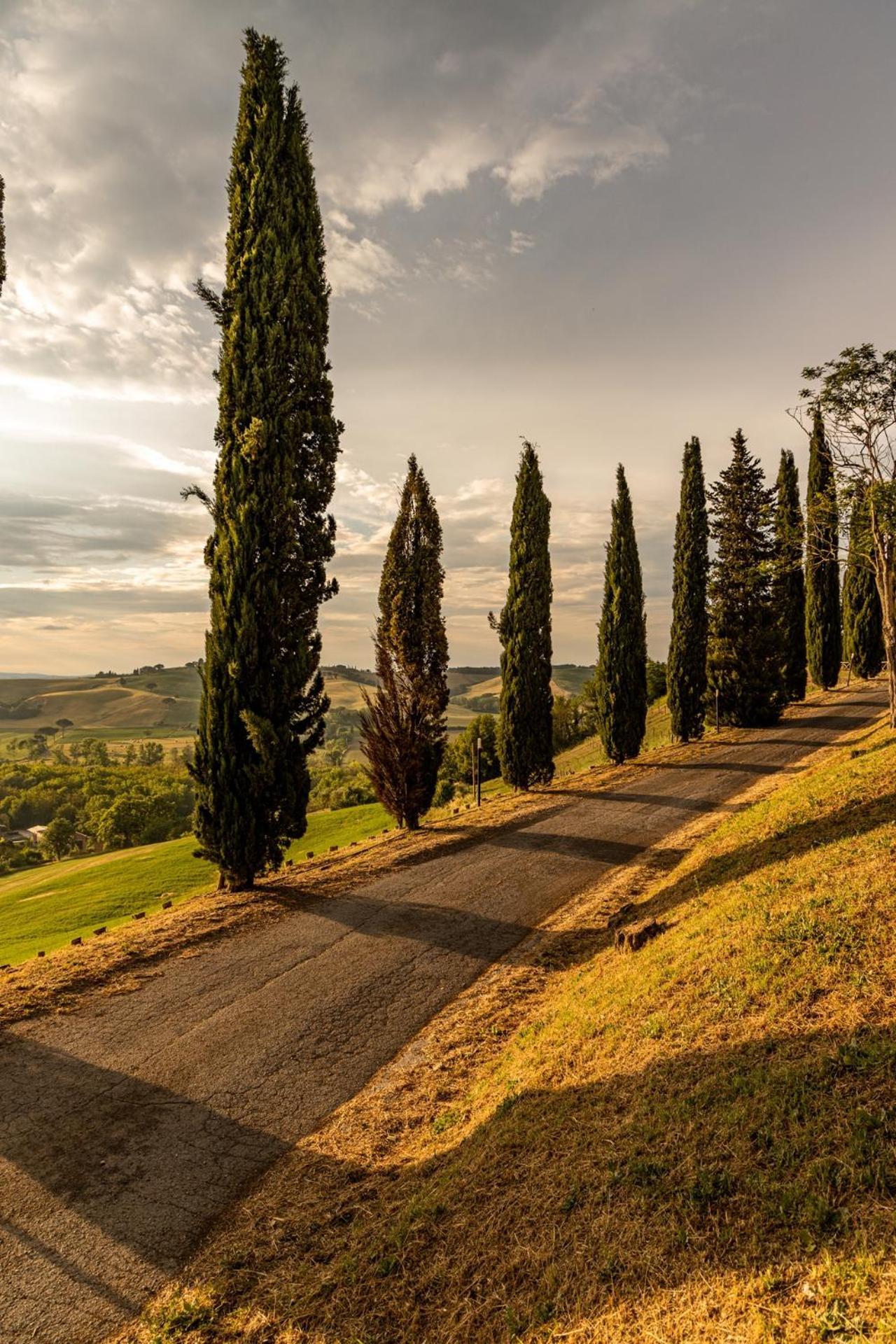 Percenna Buonconvento